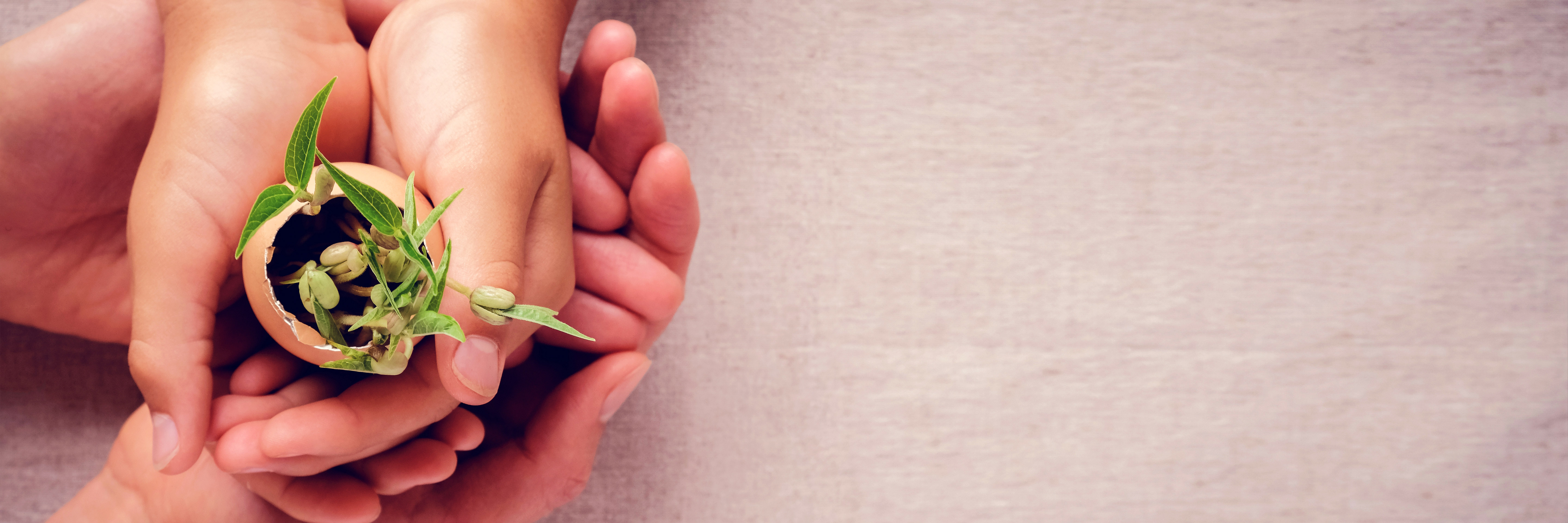 Corporate Social Responsibility